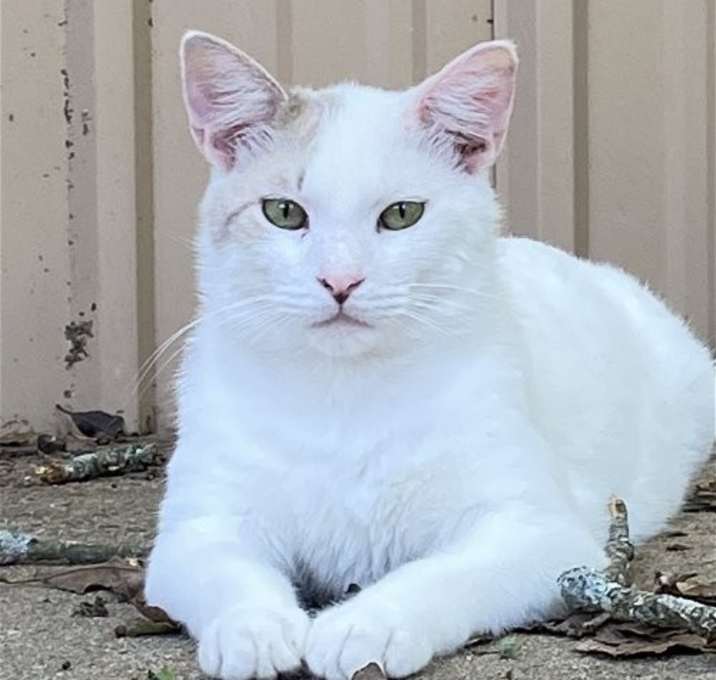 Photo of Petrie