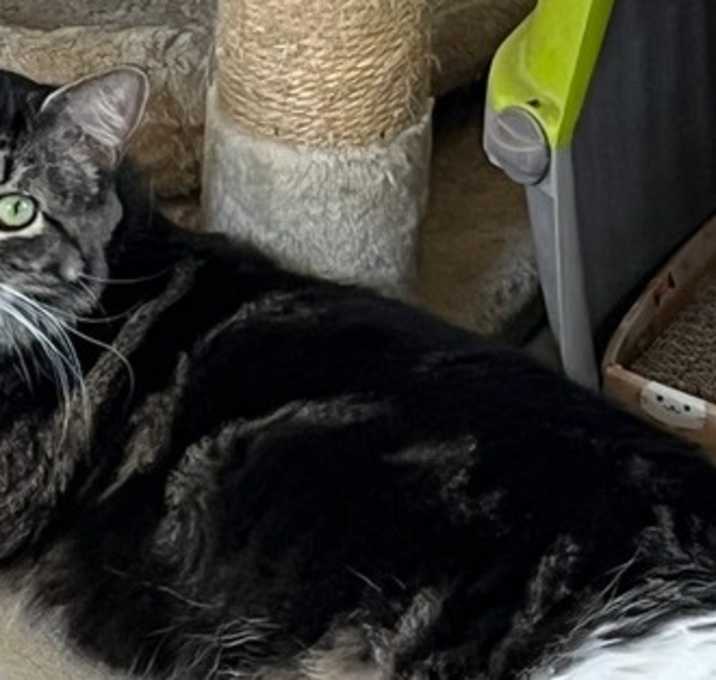 Photo of Taz