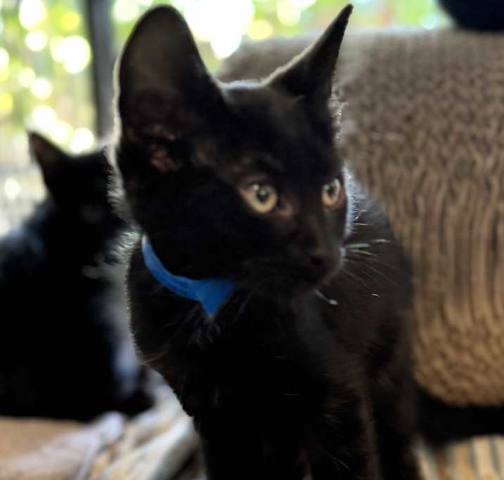 Photo of Louie