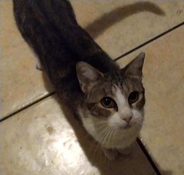 Photo of Shirley