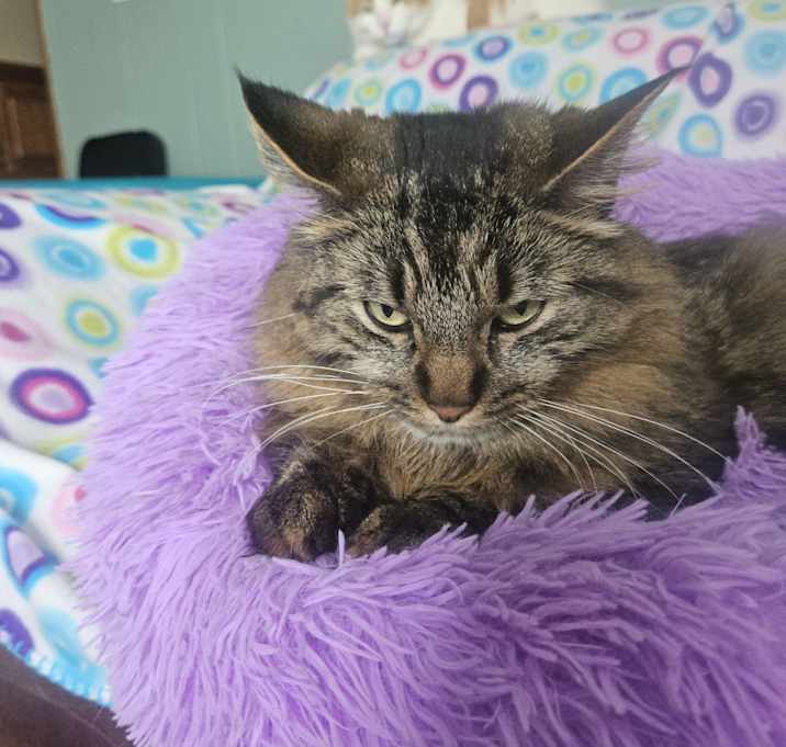 Photo of Charlie