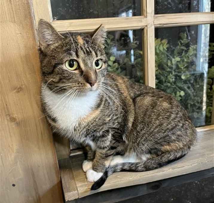 Photo of Dot