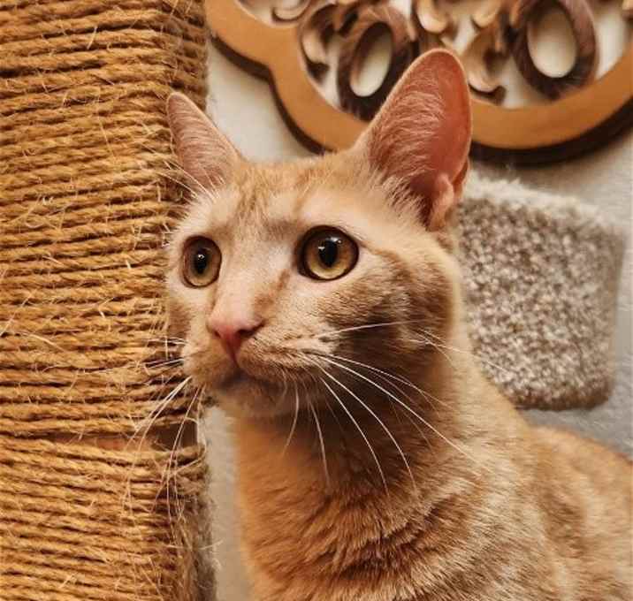 Photo of Steve