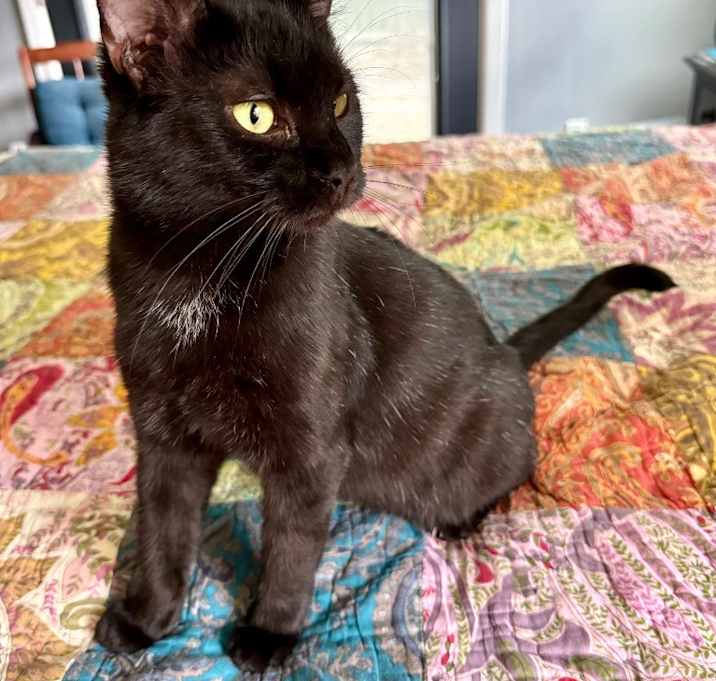 Photo of Cloud