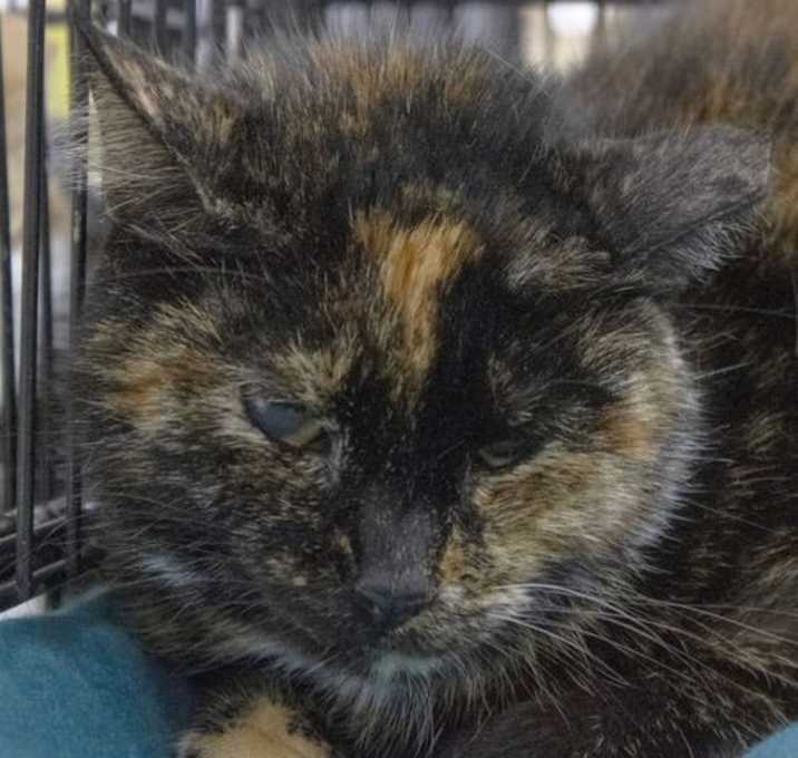 Photo of Lucy