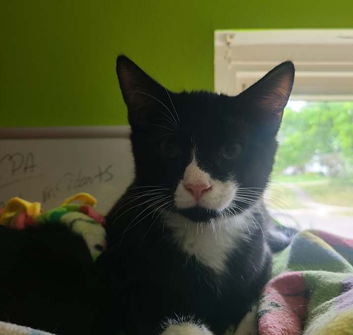 Photo of Darla