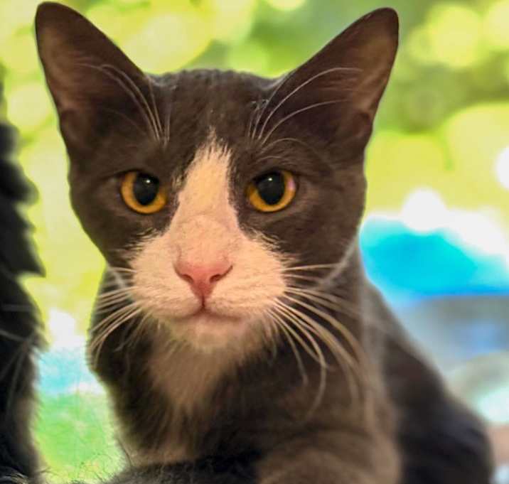 Photo of Butch