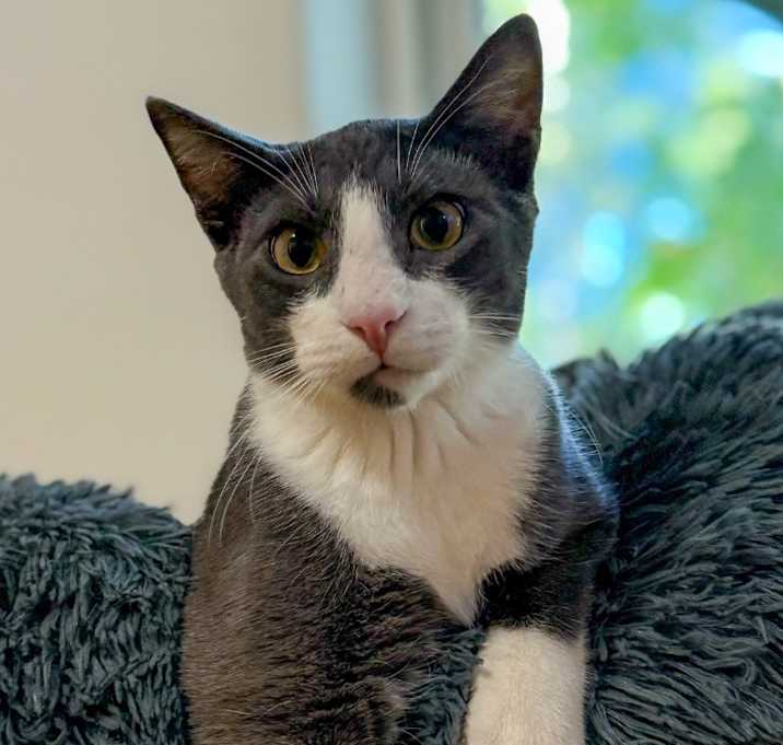 Photo of Sundance