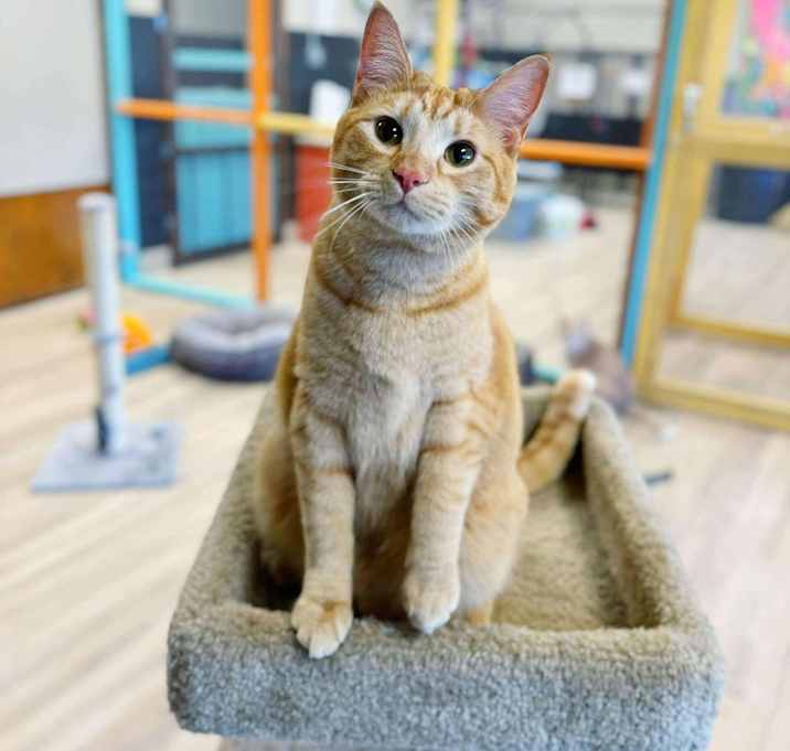 Photo of Jelly Belly