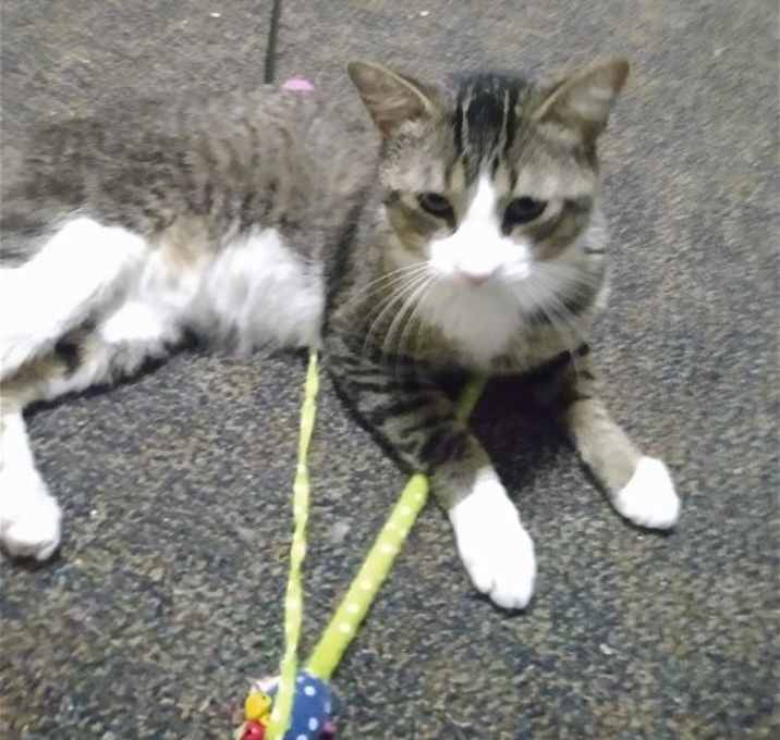 Photo of Jaspurr