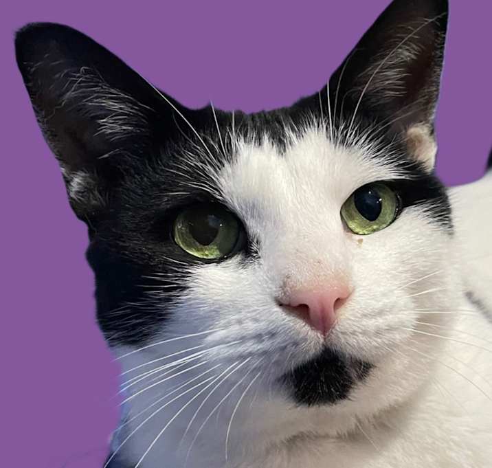 Photo of Cadbury