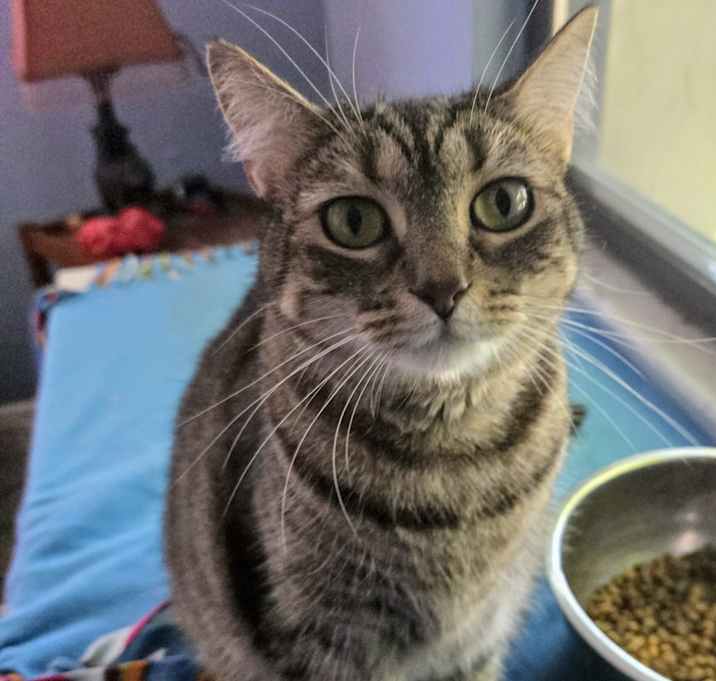 Photo of Holly