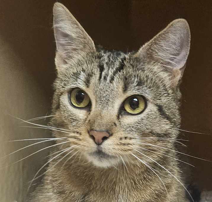 Photo of Rubie