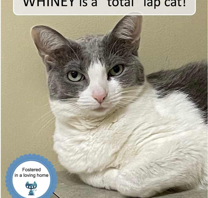Photo of Whiney