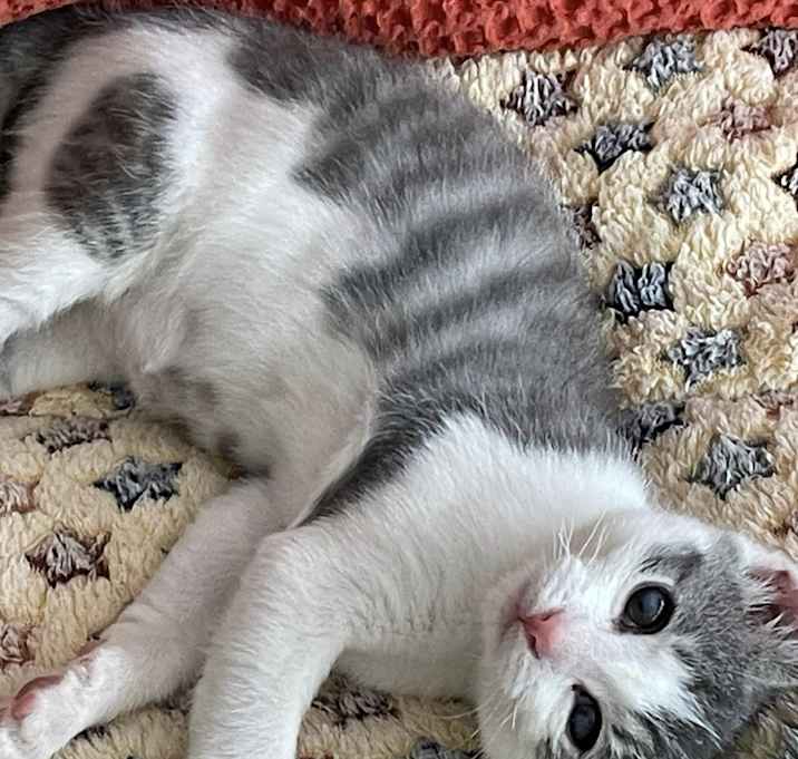 Photo of Niles