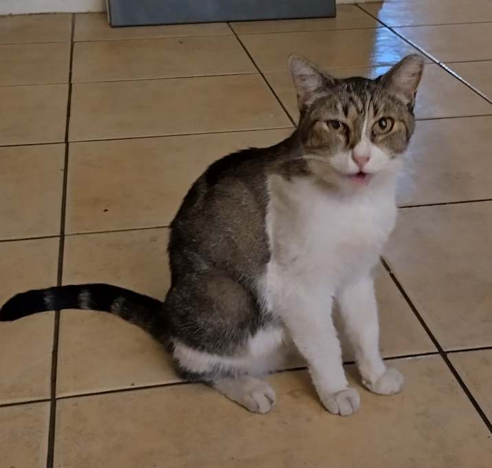 Photo of Laverne