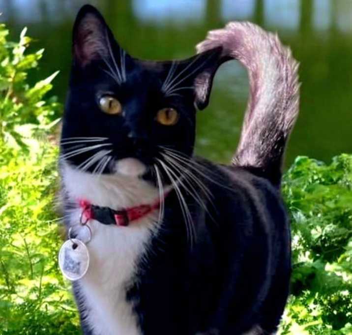 Photo of Mabel