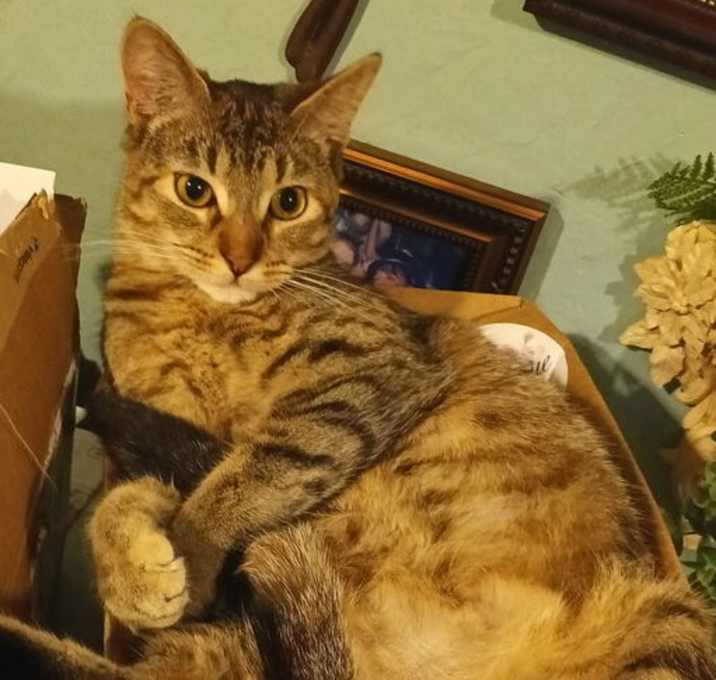 Photo of Arya