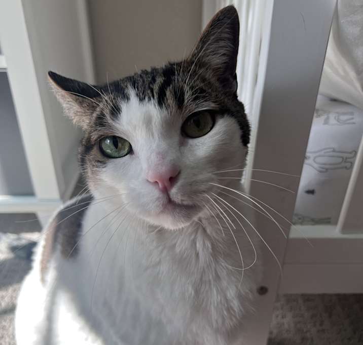 Photo of Bob