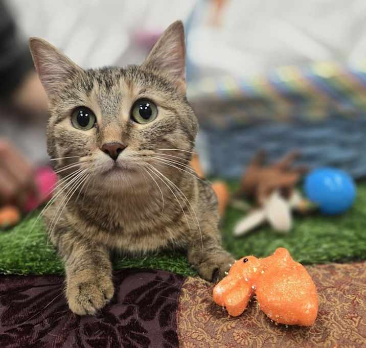 Photo of Mimi