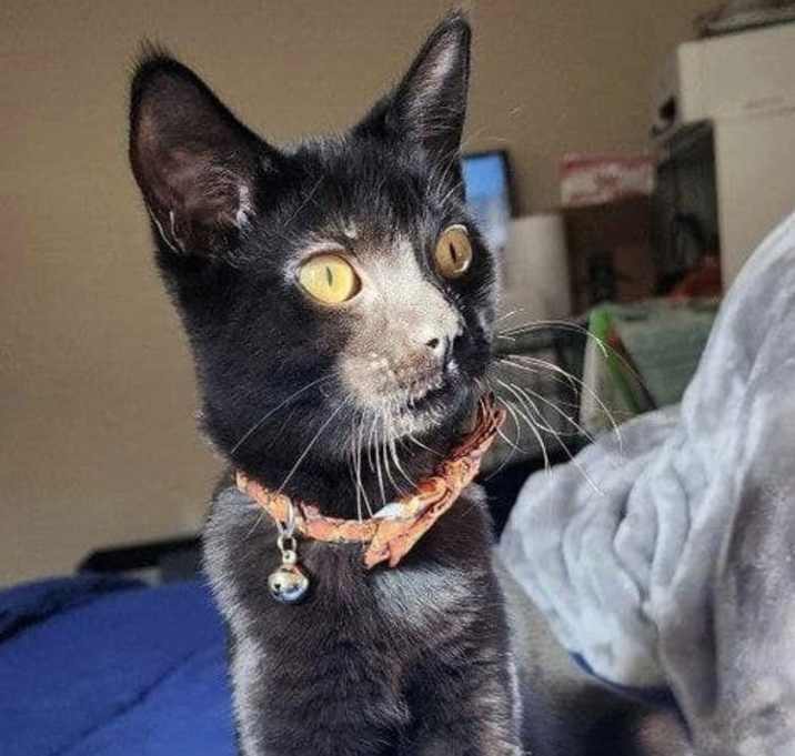 Photo of Wednesday