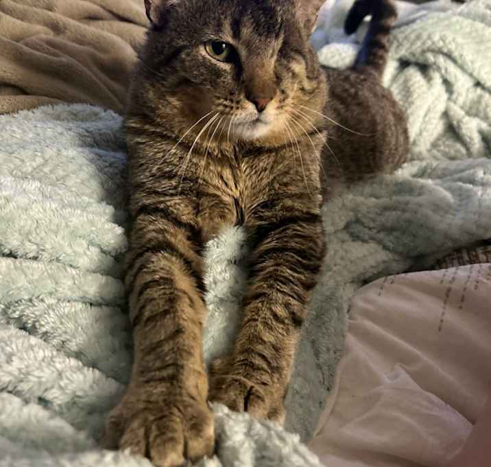 Photo of Mr. Tom