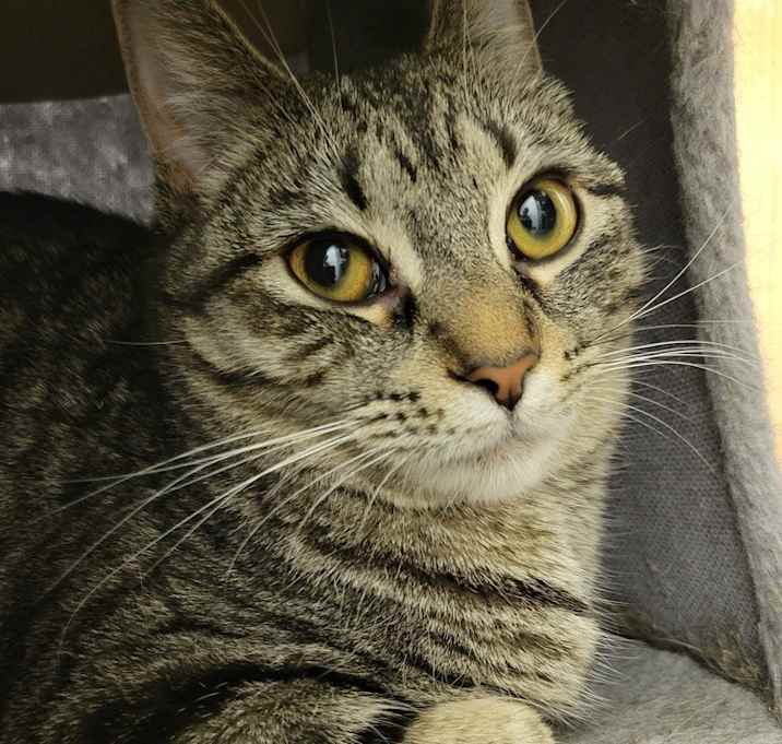 Photo of Willa