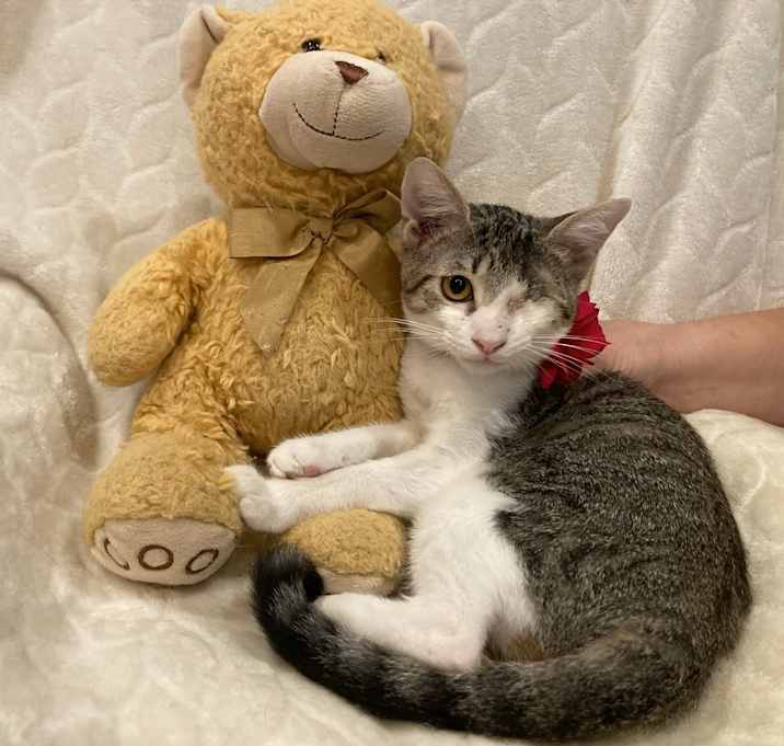 Photo of Angel