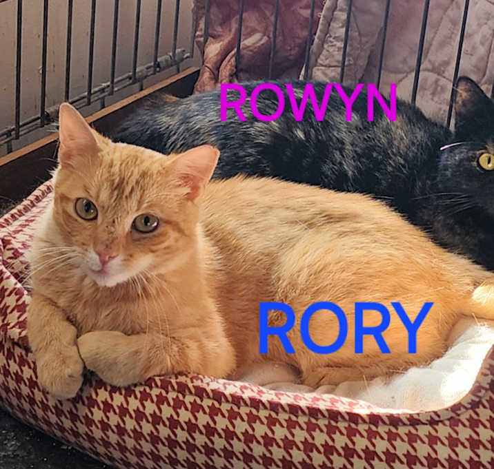 Photo of Rory