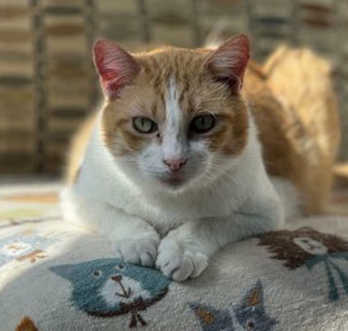 Photo of Baker