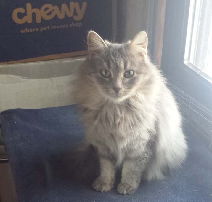 Photo of Angel