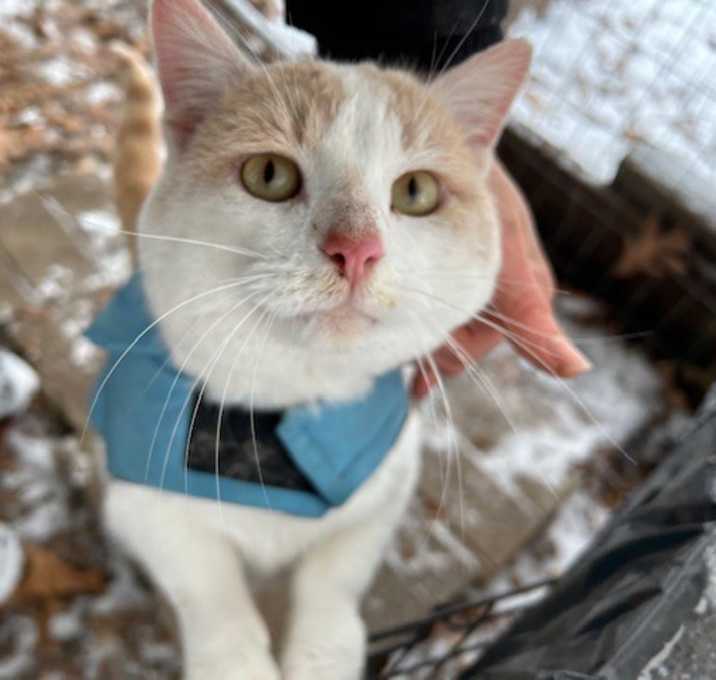Photo of Butters