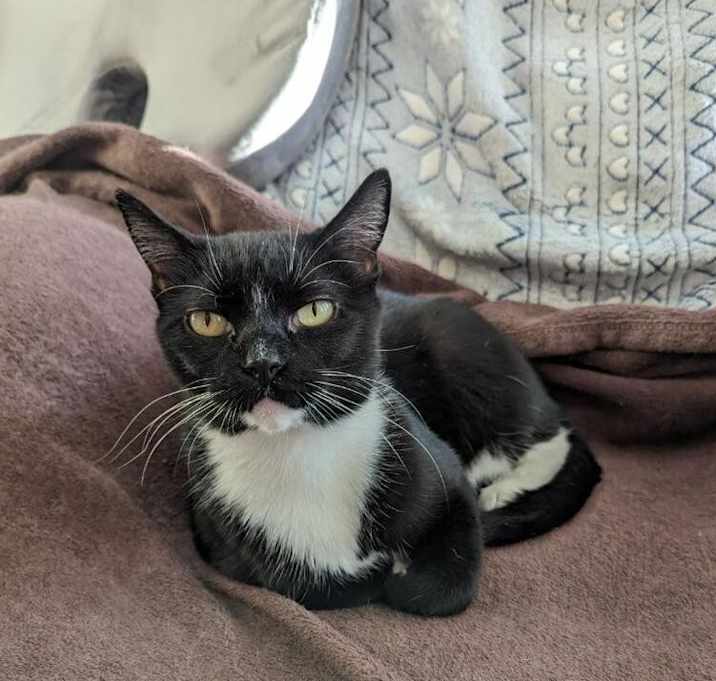 Photo of Vee