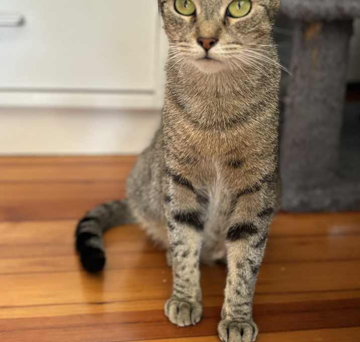 Photo of Eva