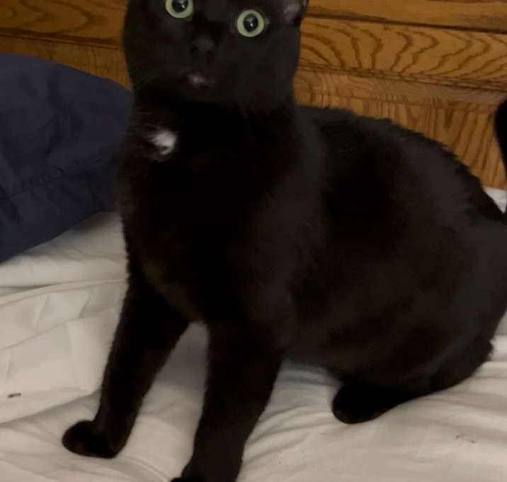 Photo of Mystique M.