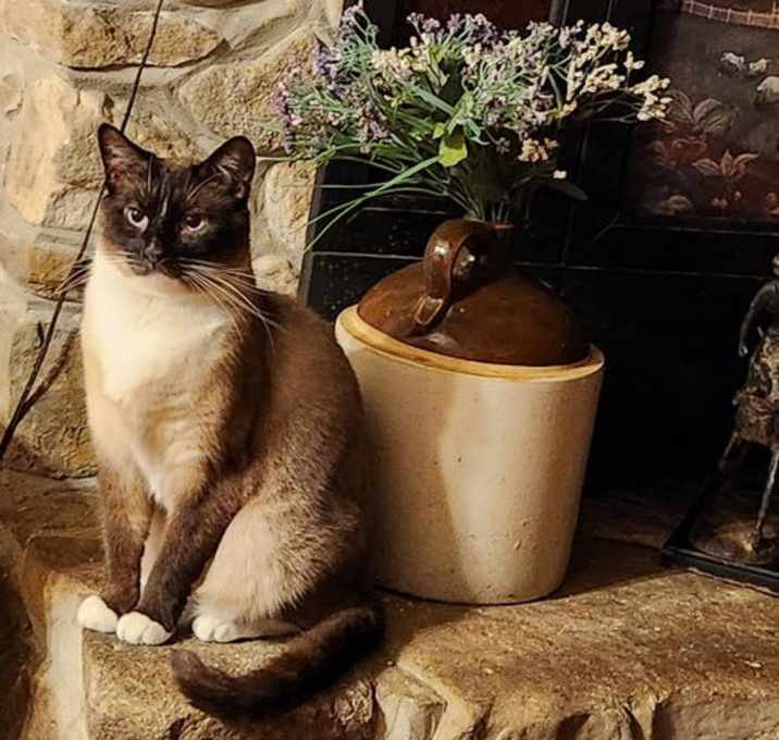 Photo of Bevazar