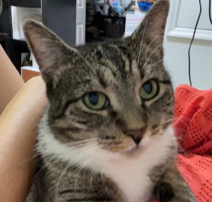 Photo of Lola