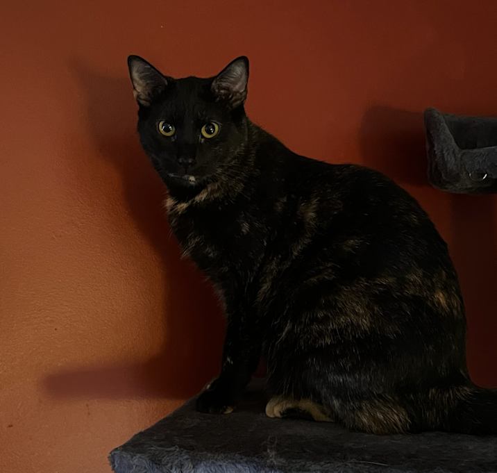 Photo of Sally