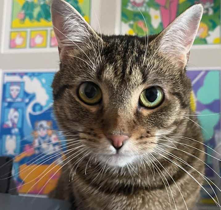 Photo of Maxine