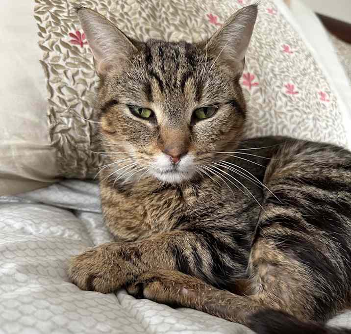 Photo of Maeve