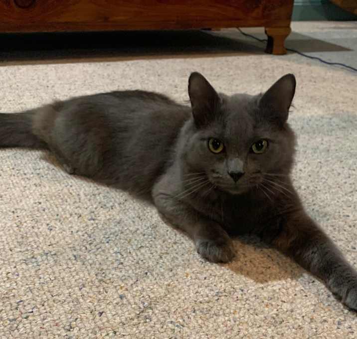 Photo of Oliver