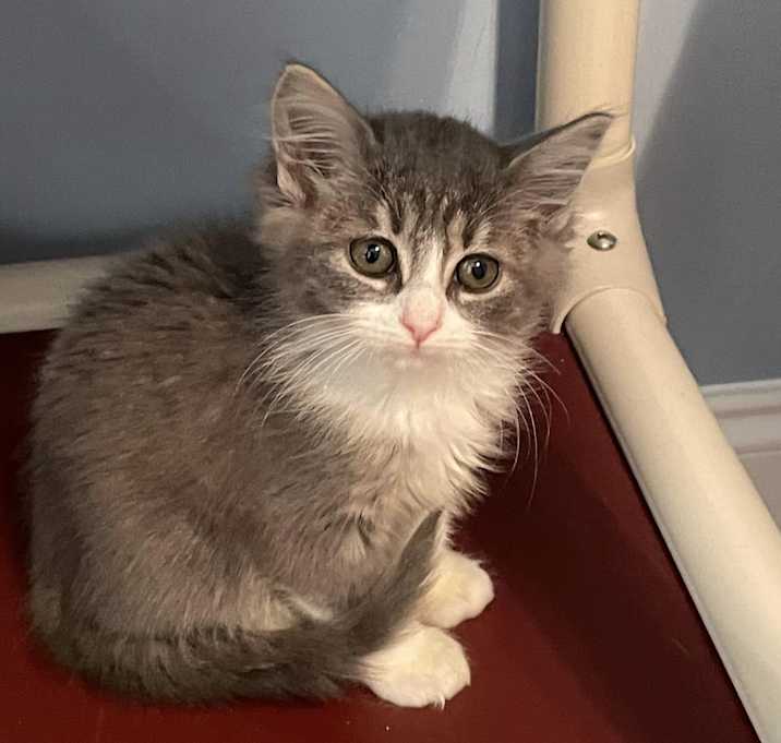 Photo of Mae