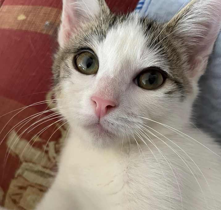 Photo of Wendell