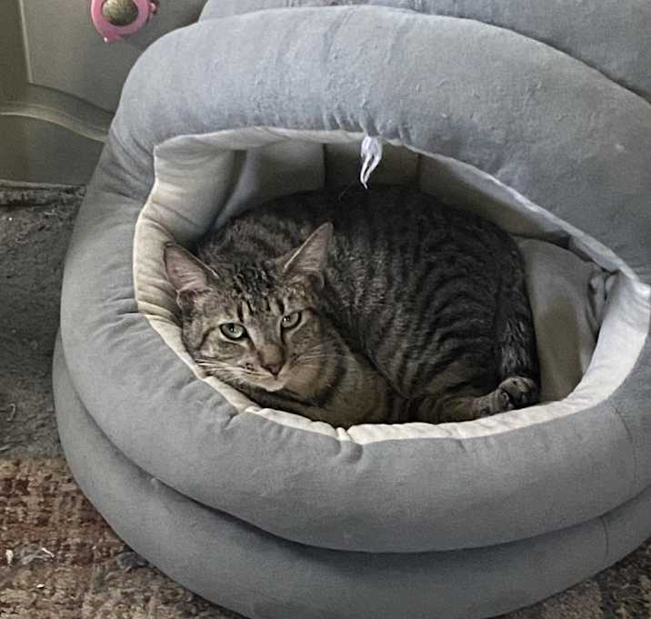 Photo of Poppi
