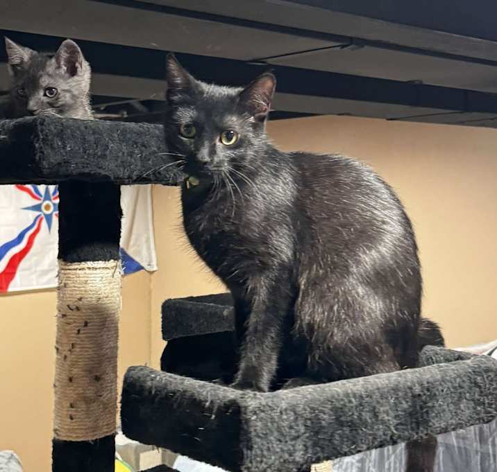 Photo of Taiko & Ochiba