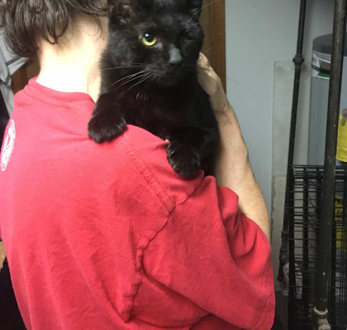 Photo of Jack Sparrow bonded with Salem