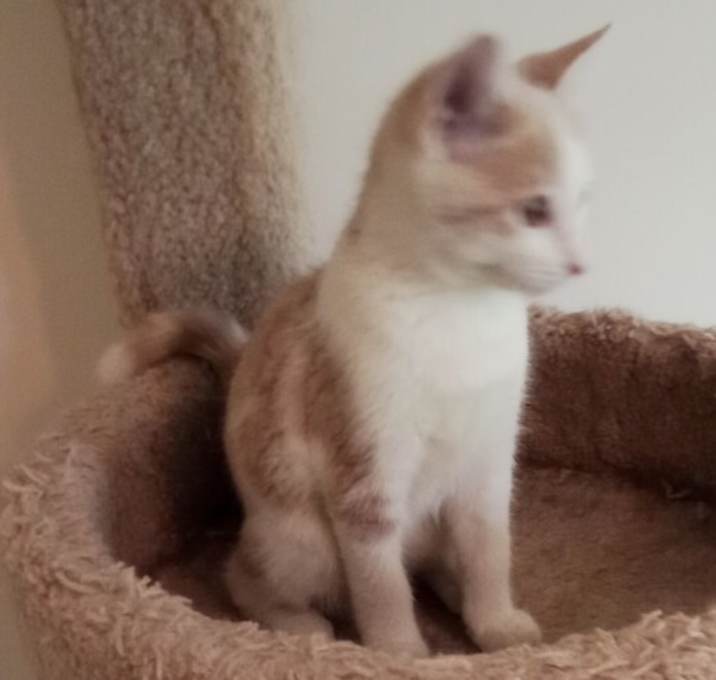 Photo of Wally