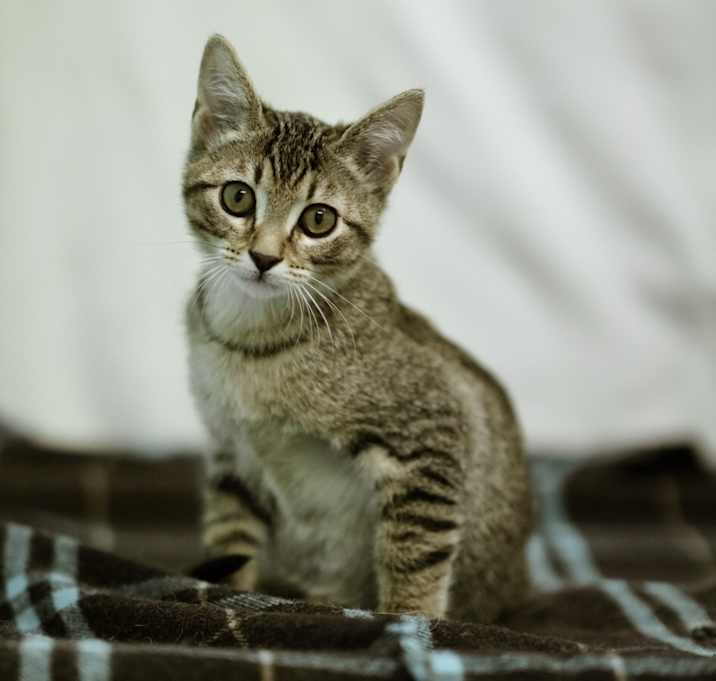 Photo of Jurian