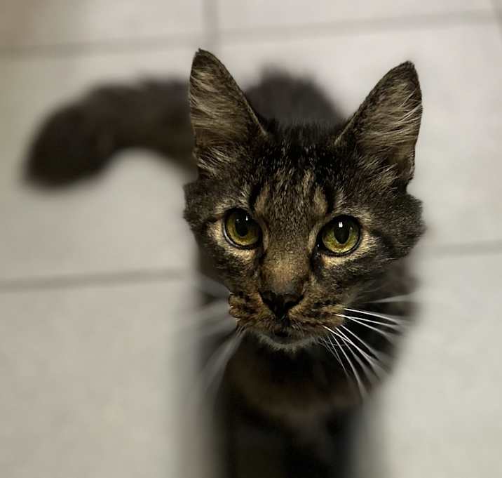 Photo of Whirly