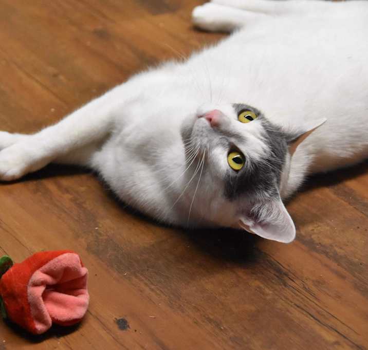 Photo of Landry